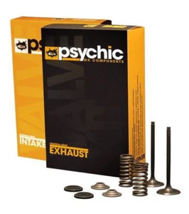 Psychic Intake Valve & Spring Kit Kawasaki KX250F 2004-2006 Suzuki RMZ250 04-06 - Picture 1 of 1