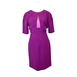 Diane Von Furstenberg Womens Dress Small Fuschia Short Sleeve Mesh Inset Pencil - Picture 1 of 9