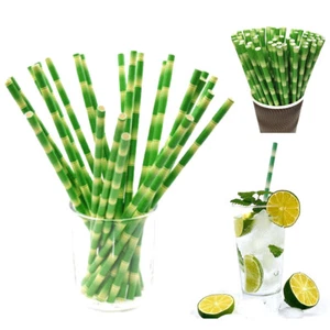 25pcs Bamboo Pattern Biodegradable Paper Drinking Straws Party Wedding Supplies - Picture 1 of 14