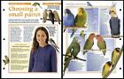 Choosing Small Parrot #3 Looking After Animals, Animals, Animals Fact File Page