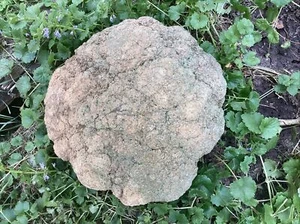 18  Lb + Indiana Geode  Crystals , minerals,fossil   Intact Jewelry Lapidary - Picture 1 of 4