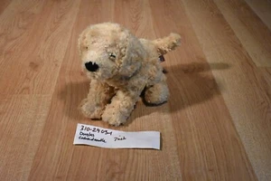 Douglas Golden Labradoodle Beanbag Plush(310-2903-1) - Picture 1 of 4