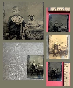 ADORABLE Id'd Boy G. Huttenlock y PUG DOG sosteniendo manos/pata FOTO TIPO TINTE c 1880 - Imagen 1 de 10