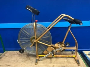 Schwinn Air-Dyne Dual Action Stationary Exercise Bicycle in Goldtone - Picture 1 of 20