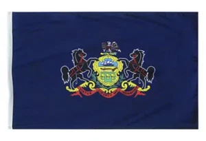 Pennsylvania State Flag 3x5ft Printed 2 Brass Grommets Polyester Double Stitched - Picture 1 of 4