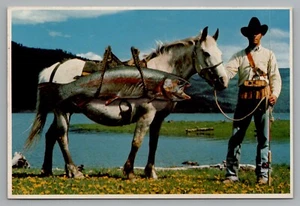 Tarjeta postal exagerada de trucha en un caballo blanco con pescador vaquero sin publicar - Imagen 1 de 2