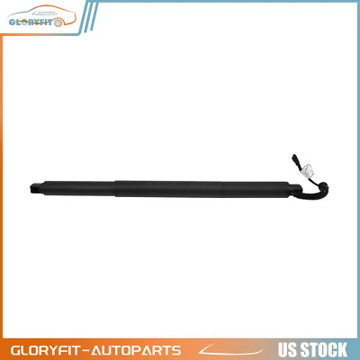Left/Right For 2010-17 BMW 535i GT 2010-17 BMW 550i GT xDrive Lift Supports 1Pc - Image 1 of 4