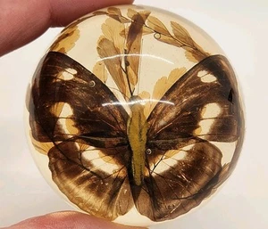 Vintage 1960's Lucite Round Paperweight w/Butterfly and Leaves - Picture 1 of 10