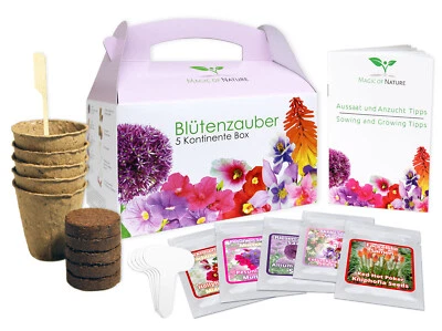 Geschenk Anzuchtset Blütenzauber Box - zum Selberzüchten oder zum Verschenken - Bild 1 von 4