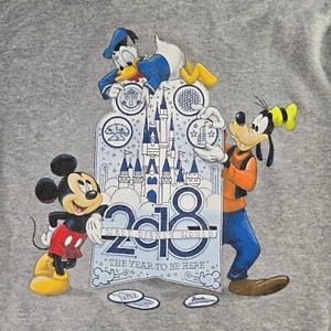 Disneyland Resorts 2018 Mens Medium Gray Full Zip Long Sleeve Hooded Jacket - Picture 1 of 6