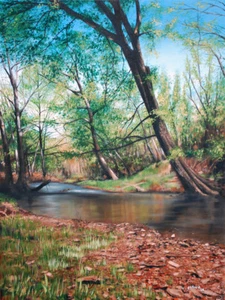 Bull Creek por pollard Floyd Arkansas 8x10 Firmado Arte Impresión Paisaje Primavera - Imagen 1 de 3