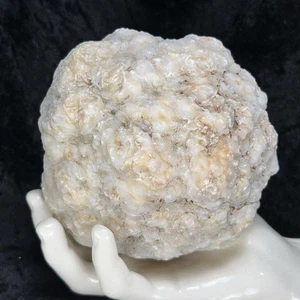 Gran geoda sin abrir sonajero cristal cuarzo fósil sin cortar rompe el tuyo propio 2,10 lb - Imagen 1 de 10