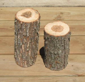 *LOT OF 2* WILLOW Wood Logs, 9 x 4 in, Large Carving Blanks - *Green Wood* SET - Picture 1 of 6