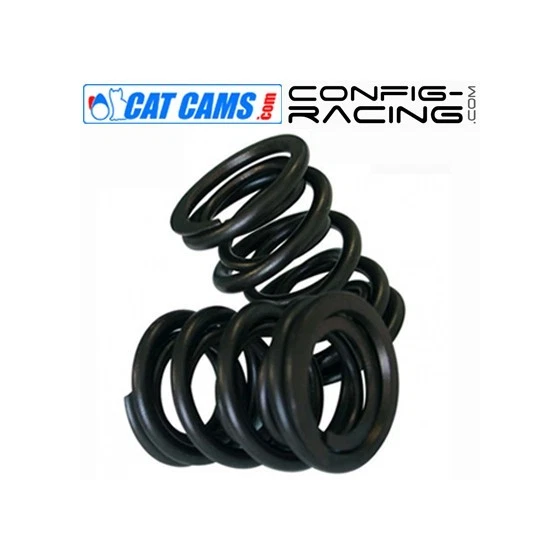 Kit de Ressorts de soupapes Simple Cat cams Renault F4R - Photo 1/1