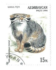 AZERBAIJAN PALLAS'S CAT (OTOCOLOBUS MANUL) 1994