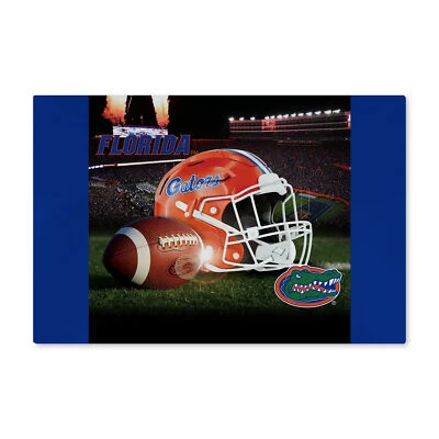 Alfombra de piso lavable Northwest NCAA Florida Gators Gameday, 20" x 32" Foto 1 de 2