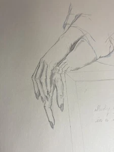 1991 Signed Chicago Artist Thom Sudato Pencil painting Study Of Sex Apples - Picture 1 of 6