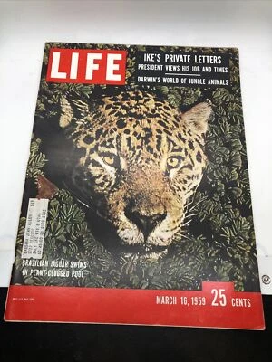 Life Magazine Cover Brazilian Jaguar Ike's Private Letters Mar 16, 1959 Darwin - Image 1 of 4