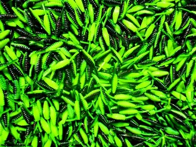 ALL AMERICAN TOURNAMENT QUALITY SOFT PLASTIC BAITS 25 BLACK NEON CHARTREUSE 1.5" RAT Tail BEETLES Crappie Fishing Lures Beetle Spin