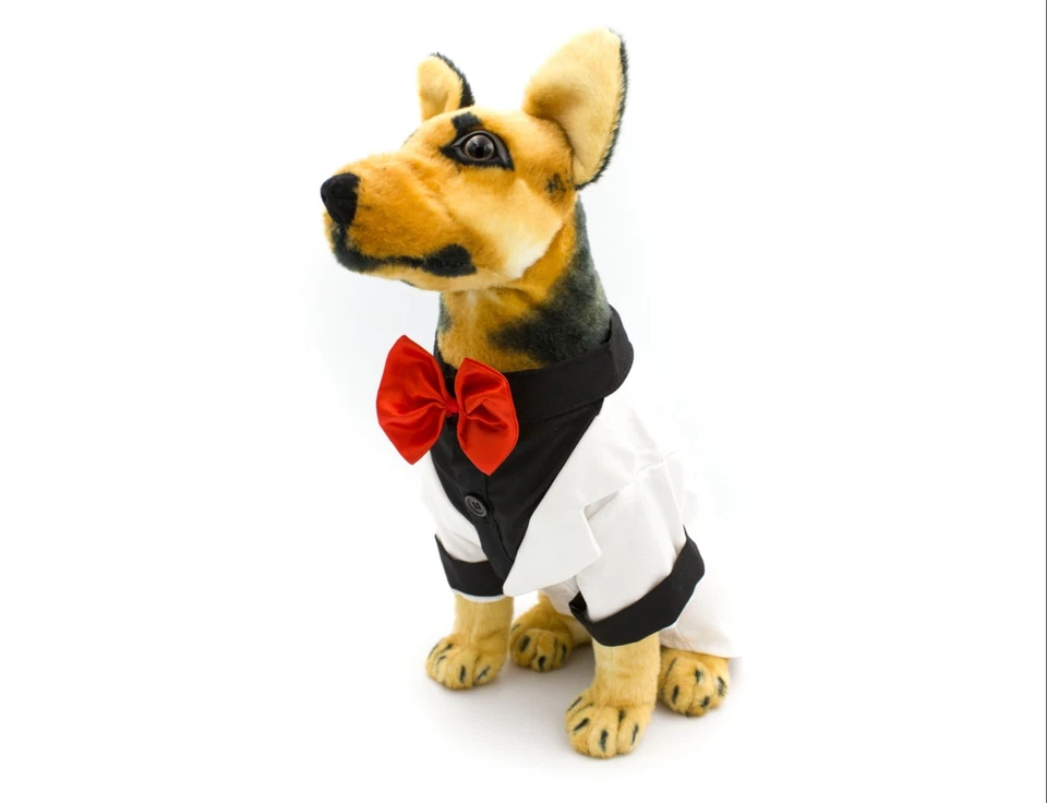 My Ring Bearer Doggy Wedding Tuxedo for Dog Groom Attire Suit Costume Tie Party - Image 1 of 4