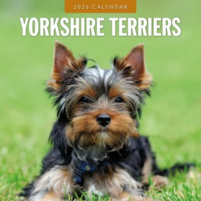 RED ROBIN PUBLISHING Yorkshire Terriers 2026 Square Wall Calendar