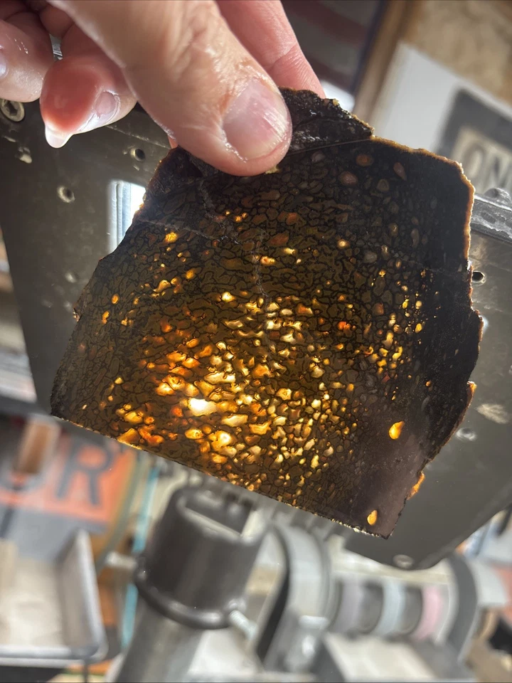 Agatized Dinosaur Bone Slab ~ Gem Agate Dino Bone Slab Quality Translucent - Image 1 of 4