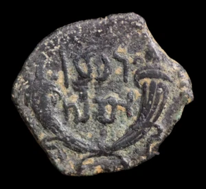 Monete greche antiche in bronzo NABATEA Petra. AE 15 mm. 2,36 grammi. #950 - Foto 1 di 2