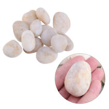 Painting Rocks Kindness Stones River Kids Crafts White 350g