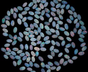 Lotto 170 pz opale 23,77 ct. 5 x 3 mm forma ovale pietra sfusa pietra preziosa australiana # - Foto 1 di 5