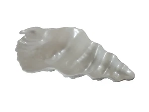Sigrid Olsen Melamine Sea Shell Serving Bowl Pearl Coastal Beach Dip Snack - Picture 1 of 8