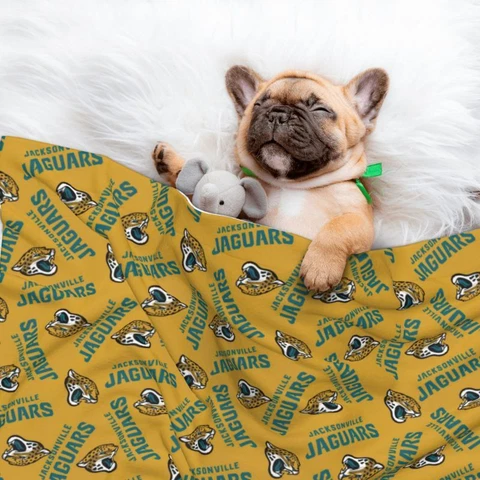 Jacksonville Jaguars Pet Blanket Personalised Warm Pet Blanket for Puppy & Cat Cover