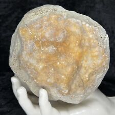 5-1/4” Unopened Geode Rattler Hollow Crystal Quartz Chalcedony Break Your Own KY