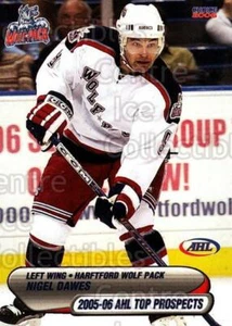 2005-06 AHL Top Prospects #10 Nigel Dawes - Picture 1 of 1