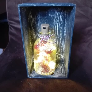 Botella LED en caja salón baño jardín decoración regalo único altura aprox 20 cm - Imagen 1 de 3