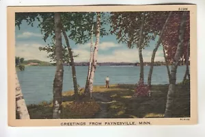 Grüße aus Paynesville MN S-1206 - Bild 1 von 1
