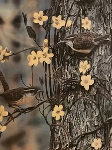 Danny O’Driscoll Signed And Numbered Carolina Spring Print Framed 22.75”x18.5” - Picture 1 of 13