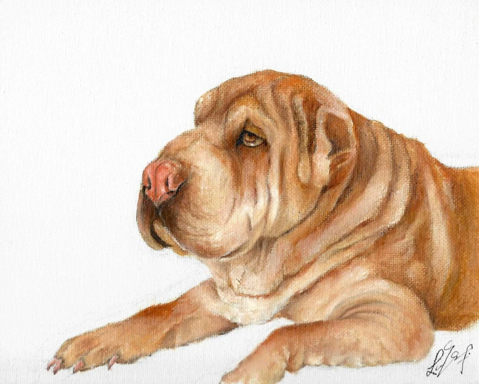 ✿ Pintura Original Retrato al Óleo SHAR PEI Cachorro Perro Obra de Arte Artista Firmado Foto 1 de 1