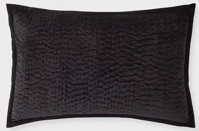 Donna Karan Suave Terciopelo Canal Cosido a Mano Viscosa Algodón Almohada Falsa Negra Foto 1 de 4