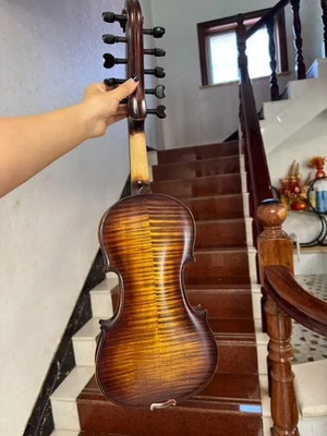 Strad style SONG Brand Maestro 5x5 strings 4/4 violin,viola d'Amore - Image 1 of 4