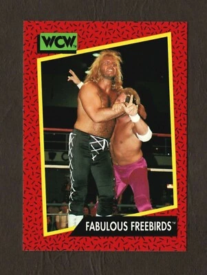1991 Impel WCW Wrestling Trading Card #123 – Fabulous Freebirds  - Image 1 of 2