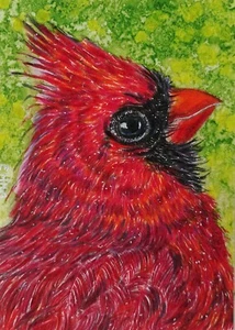 IMPRESIÓN ACEO - CARDINAL del Norte estado aves animales aves vida silvestre NATURALEZA por EMMA - Imagen 1 de 3