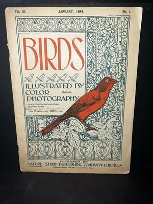 Antique Victorian Bird Magazine Birds 1898 Illustrated Foto 1 de 4