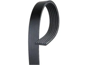For 2021-2023 Audi A4 allroad Multi Rib Belt Gates 21787DBBD 2022 - Picture 1 of 2