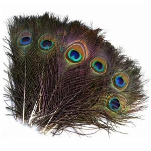 20pcs 10-12inch/25-30CM Real Peacock Feathers Crafts Home Furnishing Decor Plume - Picture 1 of 6