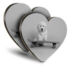 2x Heart MDF Coasters - BW - Skateboarding Labrador Puppy Dog  #42757