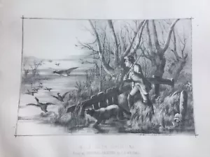Antique Print Wild Duck Shooting Dated c1880's Large Birds Hunting Sport - Picture 1 of 16