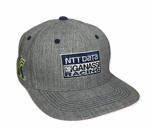 Cavillino Ganassi Racing Team Gray Burnout Snapback Hat Cap NWT - Picture 1 of 5