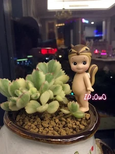 Sonny Angel Animal Series Ver.1 New Version Squirrel (Secret) Mini Figure Toy - Picture 1 of 3