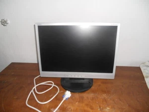 SCHERMO MONITOR PC COMPUTER PIATTO LCD 19 WV POLLICI NEC TV DECODER - Foto 1 di 1