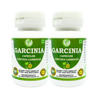 Morsan's Garcinia Cambogia (Garcinia) Capsules Combo Pack of 2 x 60 Veg. Capsule
